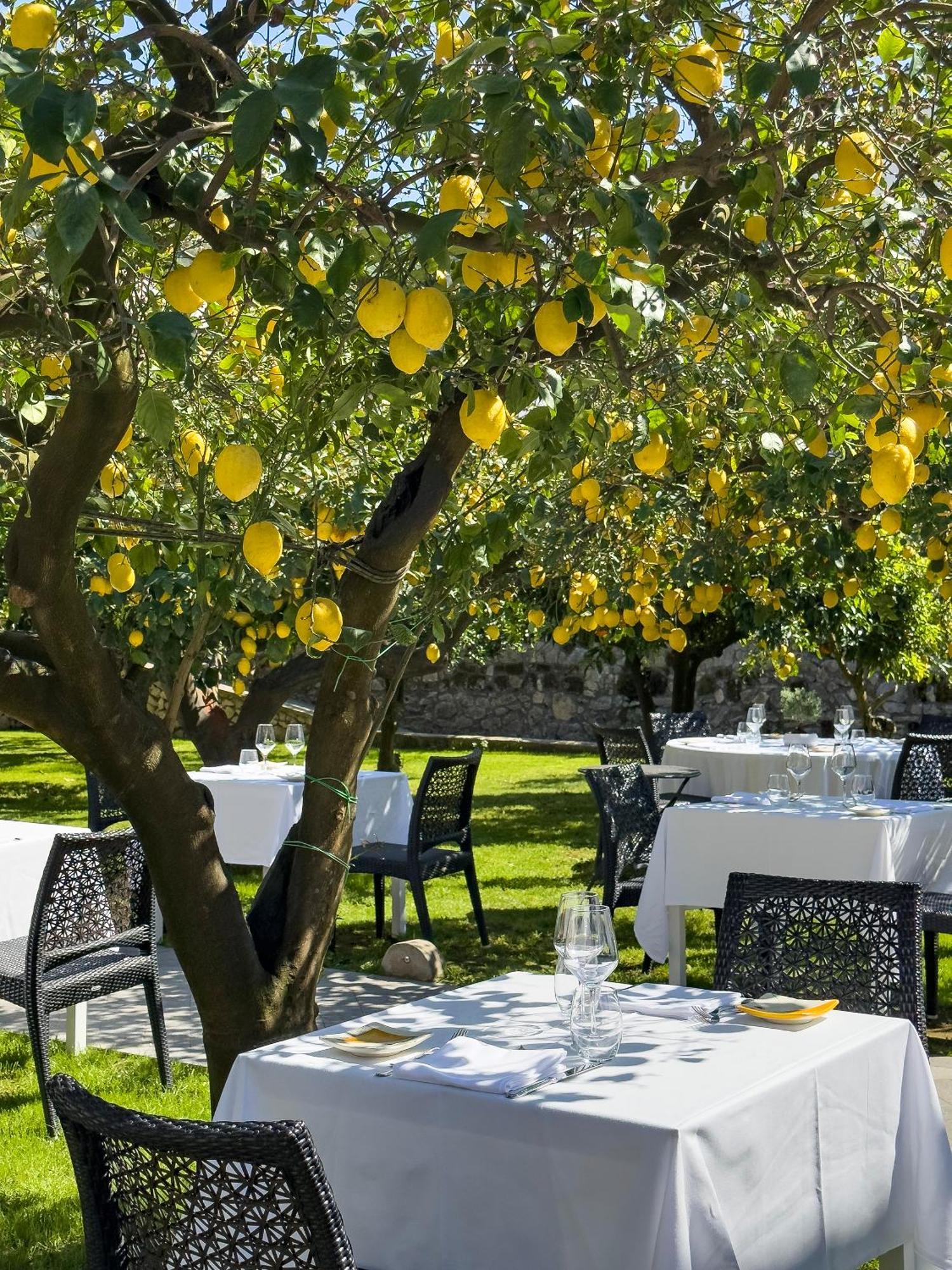 Boutique Hotel Casa Mariantonia Anacapri  Exterior foto